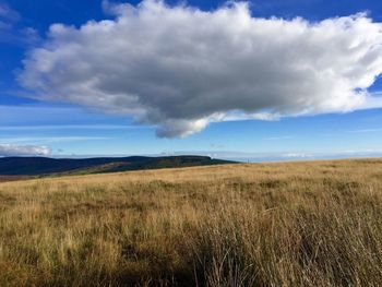 Scenic view of grassy field against cloudy sky