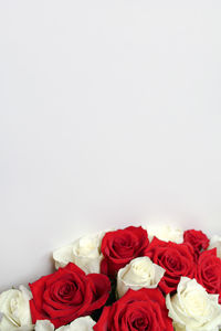 Close-up of rose bouquet against white background