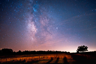 Scenic view of field against sky at night