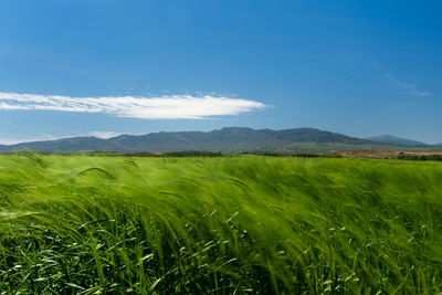 Sierra de ayllon