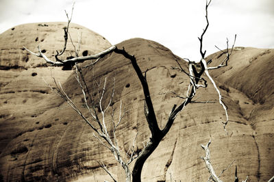 Scenic view of desert against sky