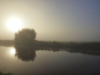 Reflection of trees in calm lake