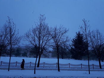 Bare trees on snow field against blue sky