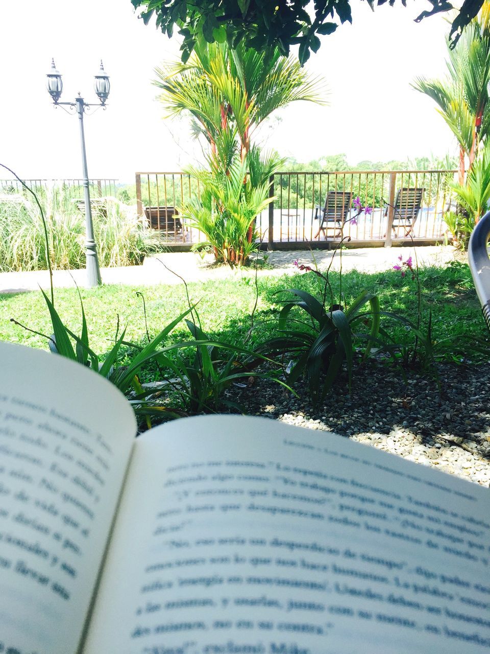 tree, communication, growth, text, day, plant, focus on foreground, clear sky, green color, close-up, table, western script, grass, white color, selective focus, chair, book, outdoors, built structure, incidental people