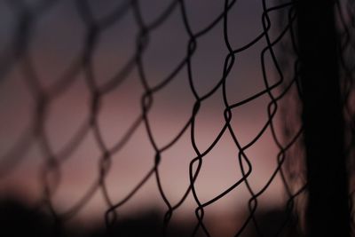 Close-up of chainlink fence