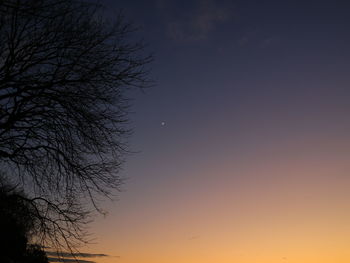 Low angle view of silhouette tree against sky at sunset