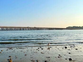 Scenic view of beach against clear sky