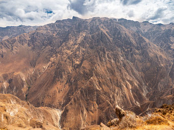 Cruz del condor, colca canyon, peru