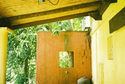 Close-up of plants against built structure