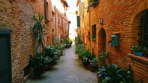 Narrow alley amidst buildings in city