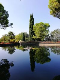 Reflection of trees in lake against sky