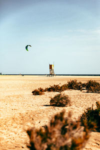 Scenic view of lonely lifeguard tower on desert beach of fuerteventura spain.