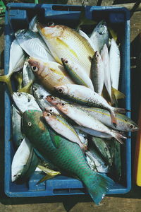 High angle view of dead fishes in crate at market for sale