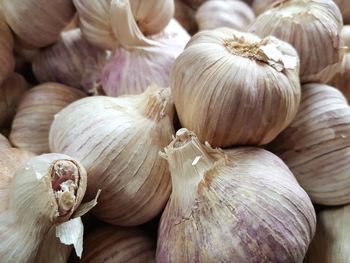 Close-up of garlic bulbs