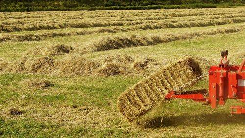 Cropped image of combine harvester on field