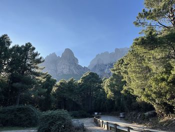 Panoramic view of trees and mountains against sky