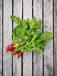 Directly above shot of red chili peppers on wood