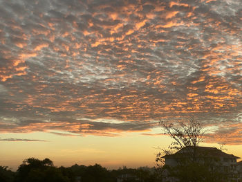 Low angle view of silhouette trees against sky during sunset