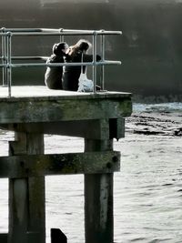 Couple sitting on railing by water