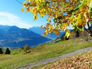 Scenic view of landscape against sky during autumn