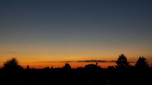 Silhouette of trees at sunset