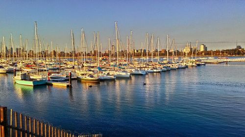 Sailboats moored at harbor against clear blue sky