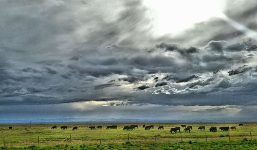 Scenic view of grassy field against cloudy sky