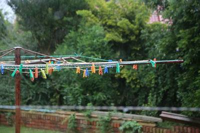 Clothespins hanging to clothesline during rainy season