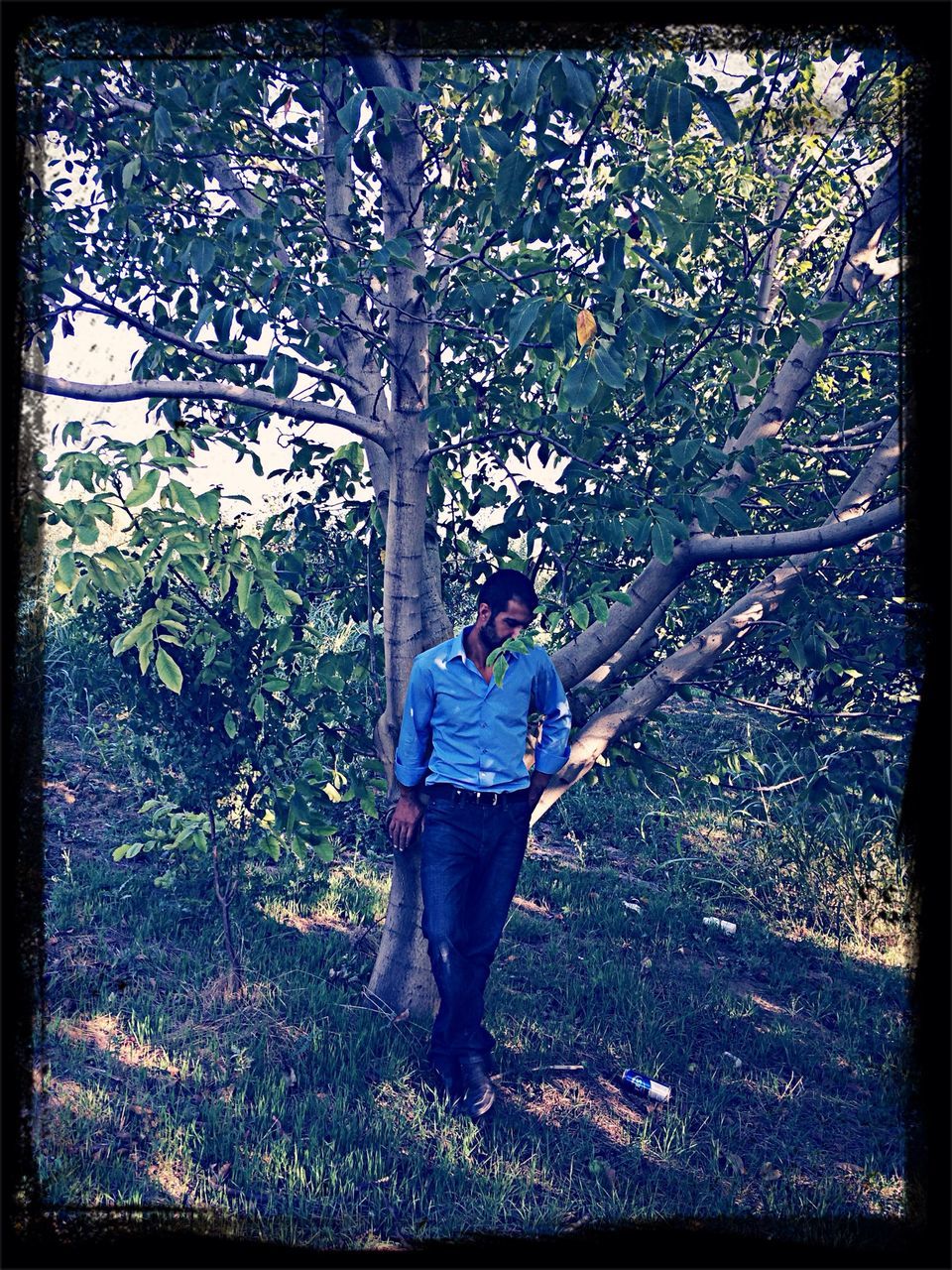 transfer print, auto post production filter, lifestyles, leisure activity, standing, full length, casual clothing, tree, person, rear view, day, field, walking, outdoors, growth, shadow, men, nature