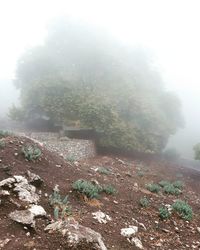 Scenic view of landscape against sky during winter