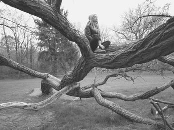 People sitting on bare tree trunk