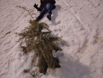 High angle view of person standing in snow