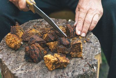 The hands of an elderly man are cut with a knife healthy pure  natural chaga mushroom