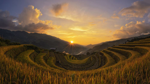 Panoramic view of agricultural field against sky during sunset