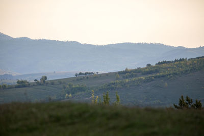 Scenic view of field against clear sky