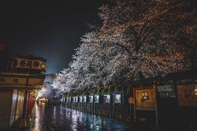 Illuminated street lights at night