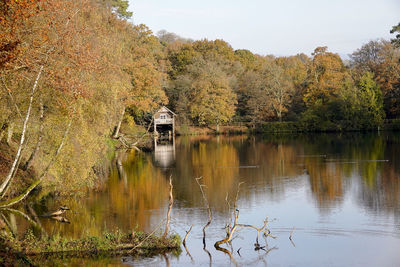 Scenic view of lake in forest during autumn