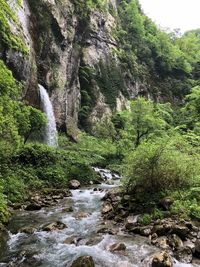 Stream flowing through rocks in forest