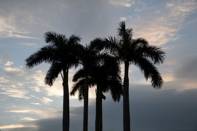 Low angle view of silhouette coconut palm trees against sky during sunset