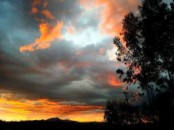 Silhouette trees against cloudy sky during sunset