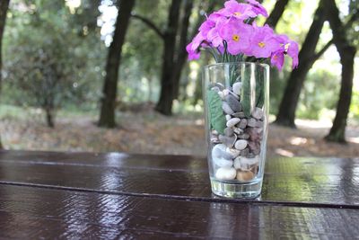 Close-up of purple flowers and pebbles in drinking glass on wooden table