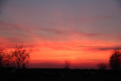 Silhouette of trees at sunset