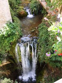 Scenic view of waterfall in forest