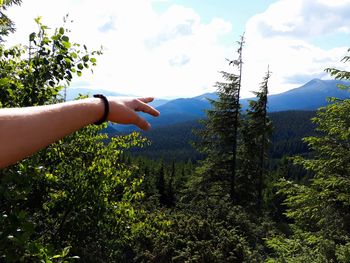 Cropped hand of man pointing towards mountain