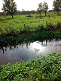 Scenic view of field by lake against sky