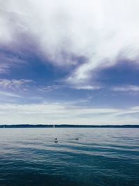 Scenic view of calm sea against sky