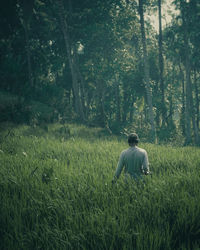 Rear view of man on field