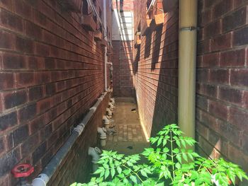 Alley amidst buildings against wall