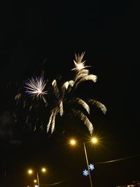 Low angle view of firework display at night