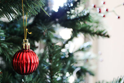Close-up of christmas decoration hanging on tree